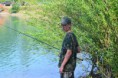 /album/fotogalerie-rocnik-2016/a13909383-1084757188265519-5742884595879013597-o-jpg/