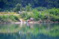 /album/fotogalerie-rocnik-2017/a20431243-1562152387192661-4591272911888686629-n-jpg/