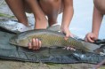 /album/fotogalerie-rocnik-2017/a20525607-1562152473859319-2359394868382763711-n-jpg/