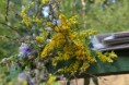 /album/fotogalerie-rocnik-2018-i-turnus1/dsc-0067-jpg1/
