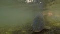 /album/fotogalerie-rocnik-2018-ii-turnus1/gopr2955-1-jpg/